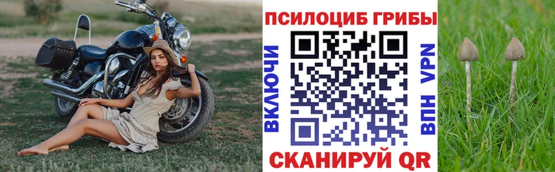 дарнет шоп Черкесск Галлюциногенные грибы Cubensis