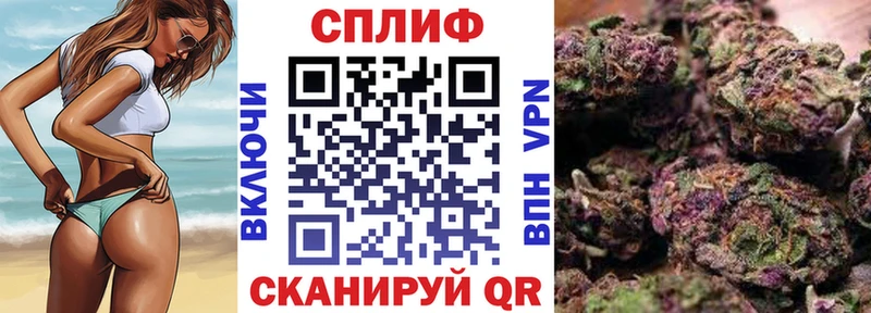 где купить наркоту  Черкесск  Шишки марихуана AK-47 